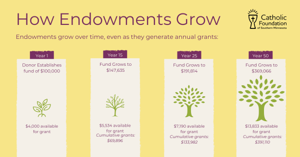 endowment growth over time